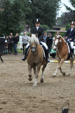 Bild 1012 - WBO-Turnier am 18.9.11